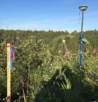 Deformation Monitoring